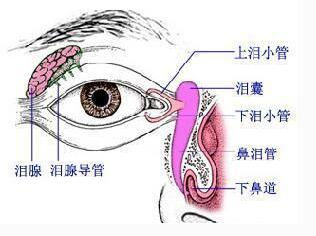 泪道探通术有风险吗？